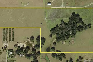16225 Bellamy Brothers Blvd, Dade City, FL 33525 - Photo 75