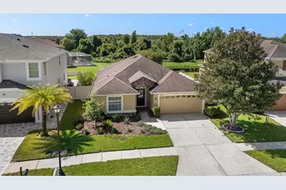 19002 Narimore Drive, Land O Lakes, FL 34638 - Photo 3