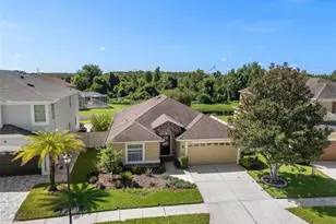 19002 Narimore Dr, Land O Lakes, FL 34638 - Photo 3