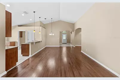 19002 Narimore Drive, Land O Lakes, FL 34638 - Photo 11