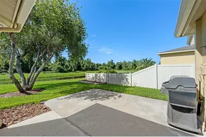 19002 Narimore Drive, Land O Lakes, FL 34638 - Photo 41