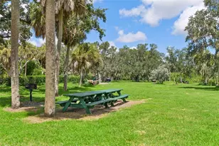 1701 Country Trails Dr, Safety Harbor, FL 34695 - Photo 49