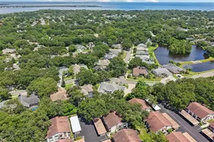1701 Country Trails Dr, Safety Harbor, FL 34695 - Photo 37