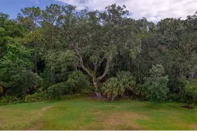 26888 Fiddlewood Loop, Wesley Chapel, FL 33544 - Photo 53