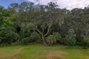 26888 Fiddlewood Loop, Wesley Chapel, FL 33544 - Photo 53