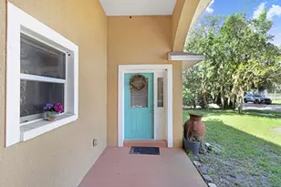 1131 Dogwood Ave, Tampa, FL 33613 - Photo 3