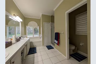 16120 Muirfield Drive, Odessa, FL 33556 - Photo 13