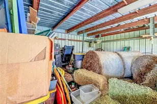 16736 Powerline Rd, Dade City, FL 33523 - Photo 69