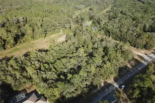 10265 N Athenia Dr, Citrus Springs, FL 34434 - Photo 1