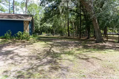 27729 Green Willow Run, Wesley Chapel, FL 33544 - Photo 29