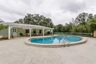 1139 Orange Tree Cir E, Palm Harbor, FL 34684 - Photo 19