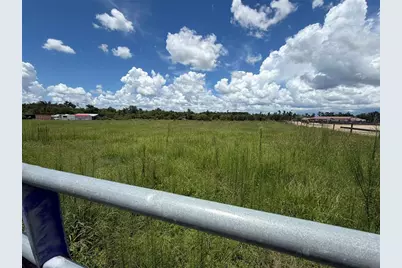 14164 Haynes Road, Dover, FL 33527 - Photo 1