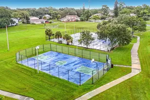 14732 Pine Glen Cir, Lutz, FL 33559 - Photo 59