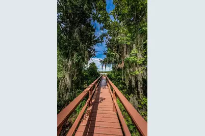 1259 Paradise Lake Drive, Tarpon Springs, FL 34689 - Photo 99