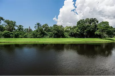 1259 Paradise Lake Drive, Tarpon Springs, FL 34689 - Photo 75