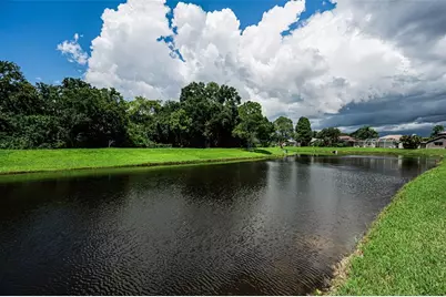 1259 Paradise Lake Drive, Tarpon Springs, FL 34689 - Photo 77