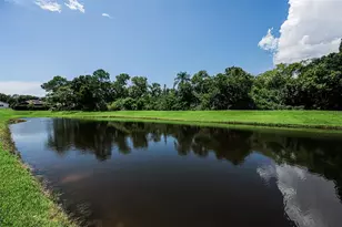 1259 Paradise Lake Dr, Tarpon Springs, FL 34689 - Photo 73