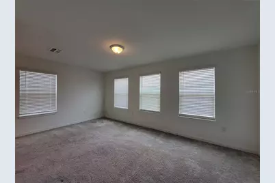 6667 Depue Drive, Wesley Chapel, FL 33545 - Photo 11