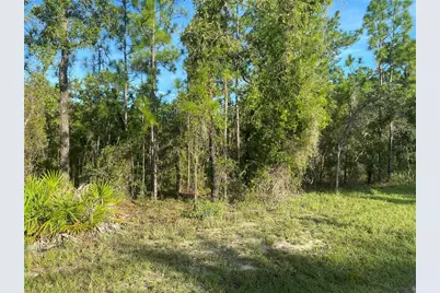 15421 Fleetwood Road, Weeki Wachee, FL 34614 - Photo 7