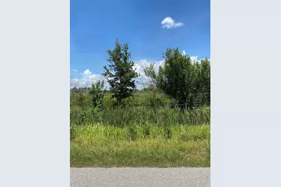 12532 Andrews Road, Wimauma, FL 33598 - Photo 9
