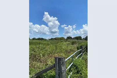 12532 Andrews Road, Wimauma, FL 33598 - Photo 5
