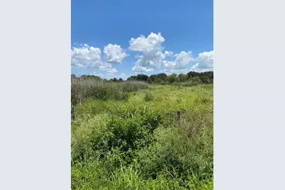12532 Andrews Road, Wimauma, FL 33598 - Photo 7