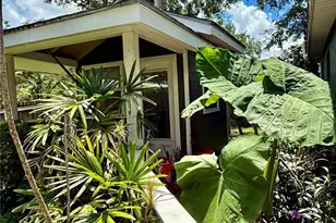 1014 W Mohawk Ave, Tampa, FL 33603 - Photo 33