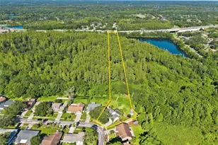 16126 Country Crossing Dr, Tampa, FL 33624 - Photo 3