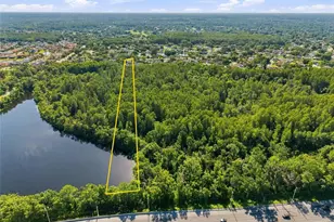16126 Country Crossing Dr, Tampa, FL 33624 - Photo 49