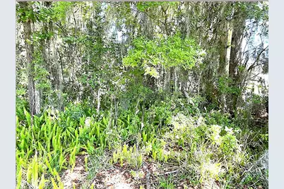 Union Street, Brooksville, FL 34601 - Photo 11