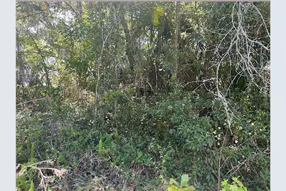 Union Street, Brooksville, FL 34601 - Photo 13