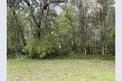 Union Street, Brooksville, FL 34601 - Photo 5
