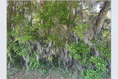 Union Street, Brooksville, FL 34601 - Photo 15