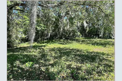 Union Street, Brooksville, FL 34601 - Photo 9