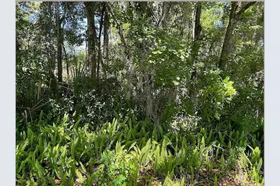 Union Street, Brooksville, FL 34601 - Photo 1
