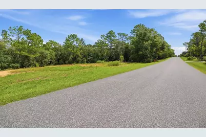 1295 E Ray Street, Hernando, FL 34442 - Photo 5