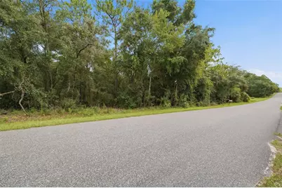 1295 E Ray Street, Hernando, FL 34442 - Photo 1