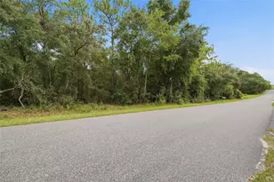 1295 E Ray St, Hernando, FL 34442 - Photo 1