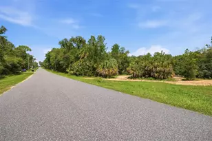 1345 E Ray St, Hernando, FL 34442 - Photo 1