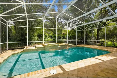 27417 Silver Thatch Drive, Wesley Chapel, FL 33544 - Photo 49