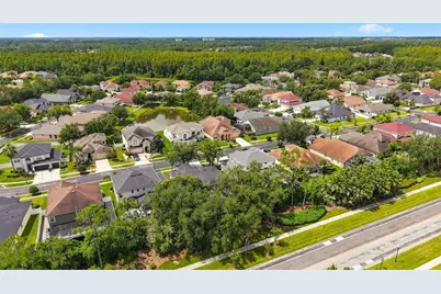 27417 Silver Thatch Drive, Wesley Chapel, FL 33544 - Photo 53