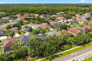 27417 Silver Thatch Dr, Wesley Chapel, FL 33544 - Photo 53