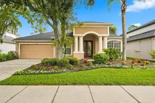 27417 Silver Thatch Dr, Wesley Chapel, FL 33544 - Photo 5