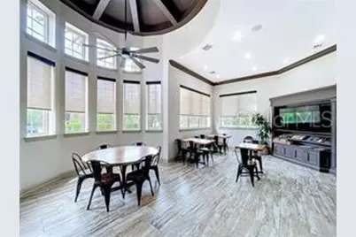 27417 Silver Thatch Drive, Wesley Chapel, FL 33544 - Photo 61
