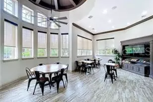 27417 Silver Thatch Dr, Wesley Chapel, FL 33544 - Photo 61
