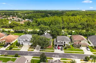 27417 Silver Thatch Dr, Wesley Chapel, FL 33544 - Photo 55