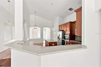 27417 Silver Thatch Drive, Wesley Chapel, FL 33544 - Photo 15