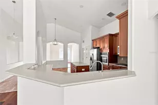 27417 Silver Thatch Dr, Wesley Chapel, FL 33544 - Photo 15