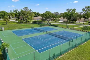 11829 Carissa Ln, New Port Richey, FL 34654 - Photo 69