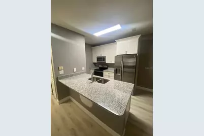 16205 Enclave Village Drive #102, Tampa, FL 33647 - Photo 3